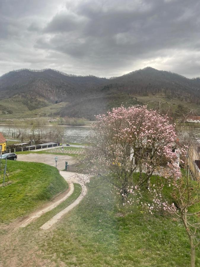 Top Ferienhaus Bei Spitz / Wachau Schwallenbach Экстерьер фото